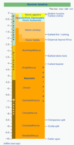 Hominin-Timeline - Big Bible Hominin-Timeline