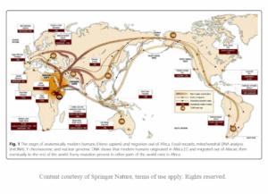 HomoSapienMigration2020 - Big Bible Early Human Migration patterns