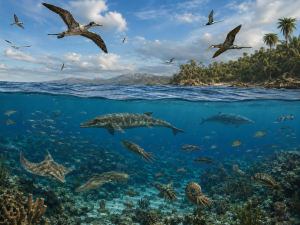 And God said, “Let the water teem with living creatures, and let birds fly above the earth across the vault of the sky.” Genesis 1:20