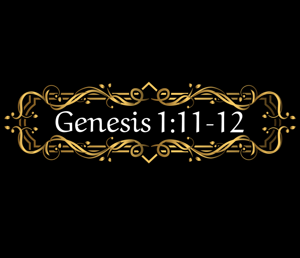 Decorative black banner with a gold ornamental frame at the bottom and the text Genesis 1:11-12 in white serif font