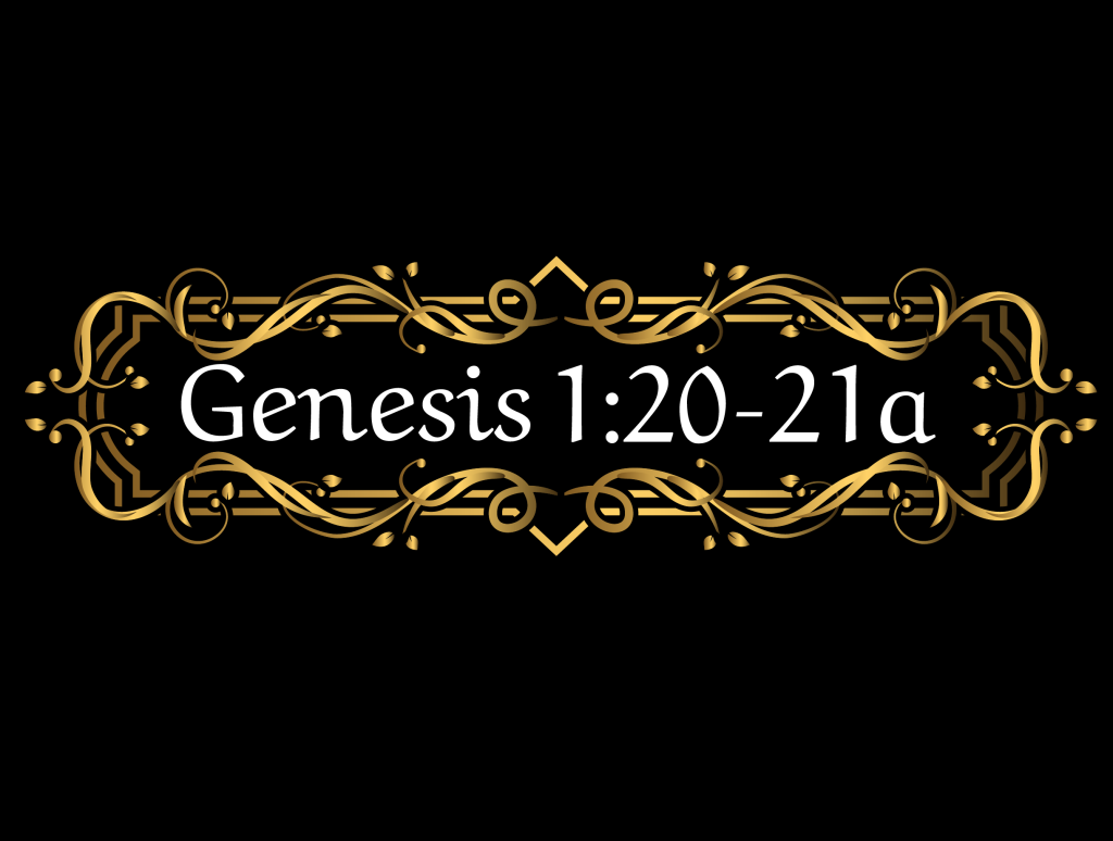 Decorative black banner with an ornate gold floral border and the Bible reference Genesis 1:20-21 in white text.