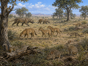 And God said, “Let the land produce living creatures according to their kinds: the livestock, the creatures that move along the ground, and the wild animals, each according to its kind.” Genesis 1:24